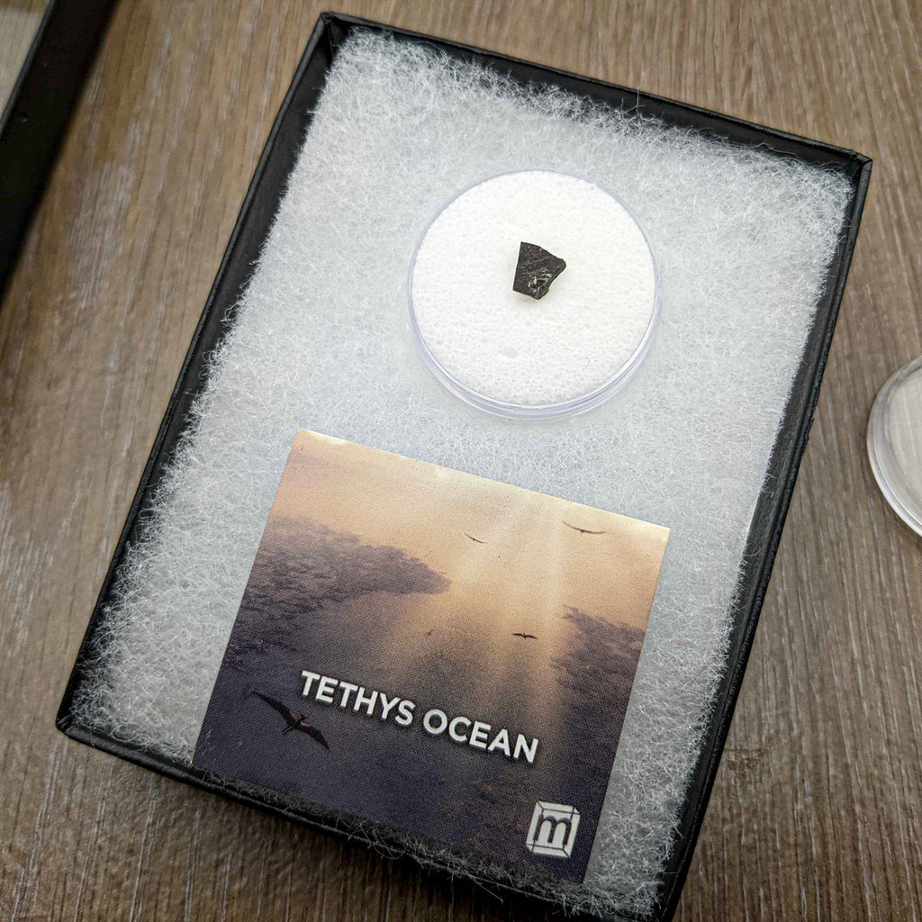Tethys Ocean Floor