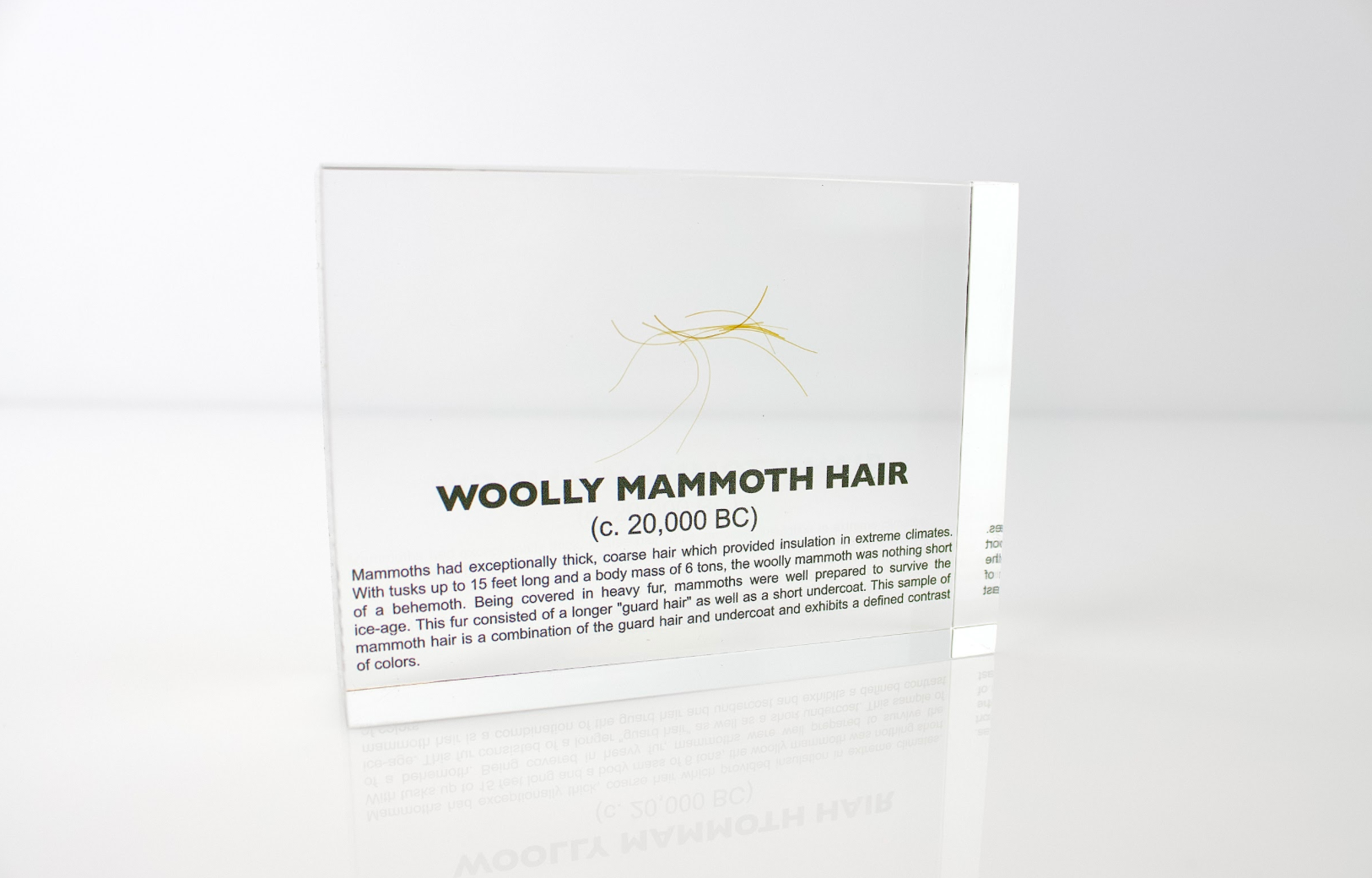 Woolly Mammoth Hair