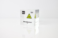 Mendelevium Element Cube - 2" Acrylic Display - Atomic Number 101