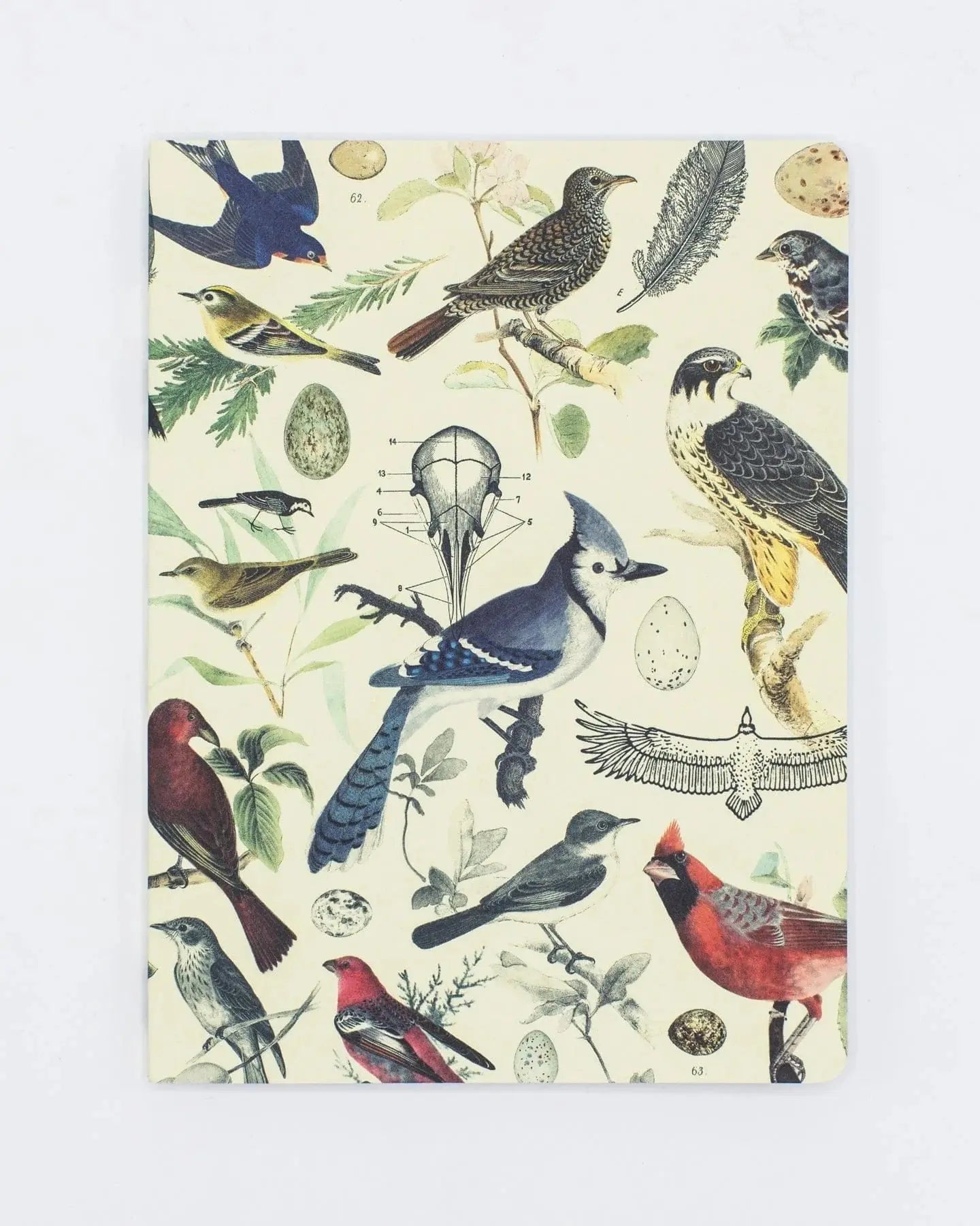 Ornithology Notebook - Stemcell Science Shop
