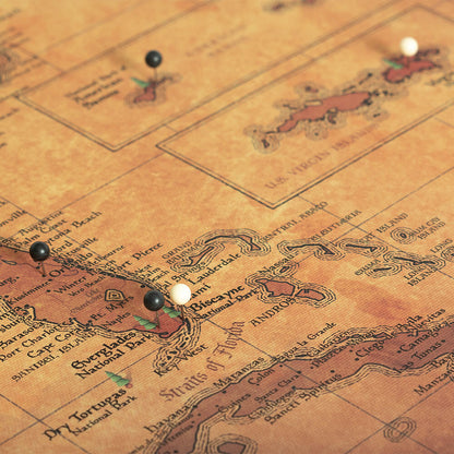 Push Pin National Parks Map: Golden Age (Pins Included)