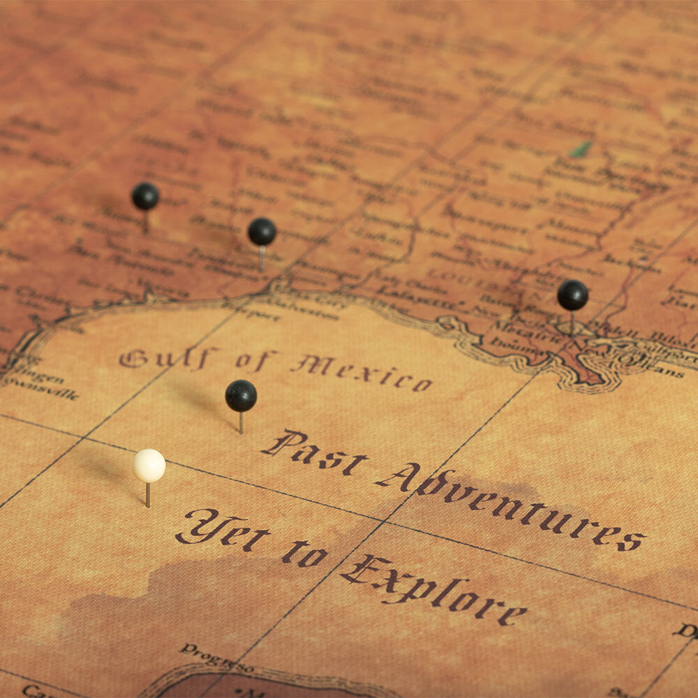 Push Pin National Parks Map: Golden Age (Pins Included)