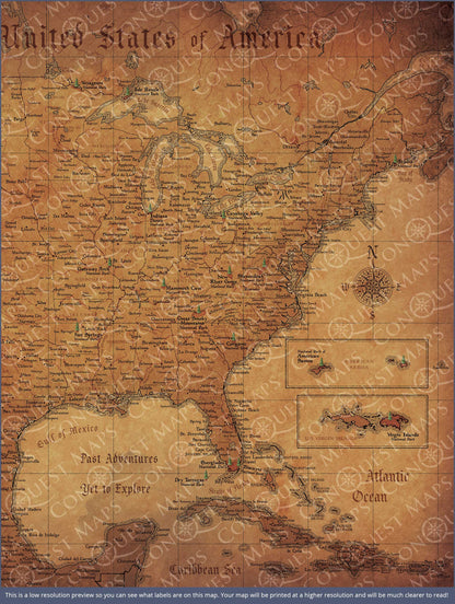 Push Pin National Parks Map: Golden Age (Pins Included)