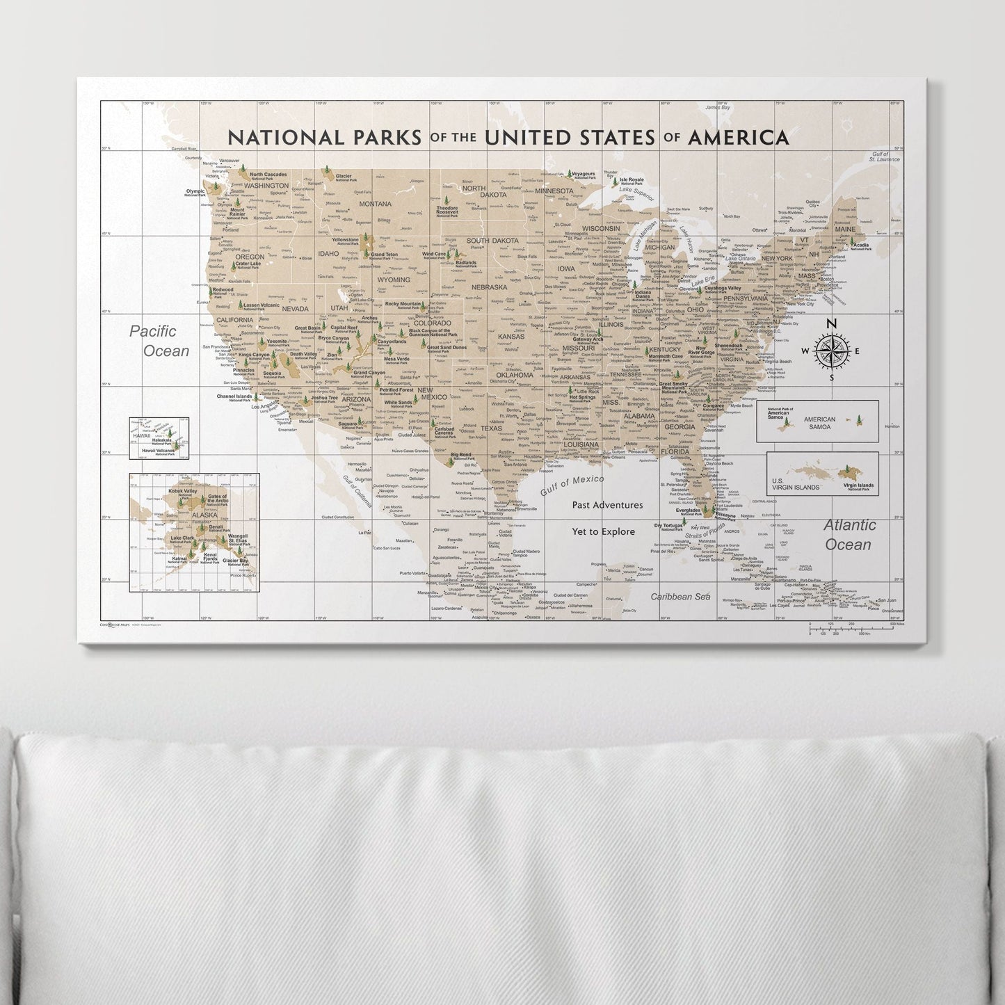 Push Pin National Parks Map: Light Brown (Pins Included)