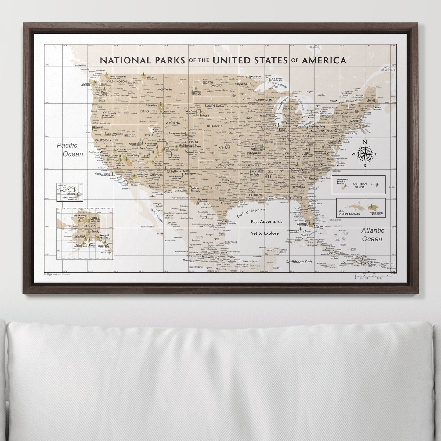 Push Pin National Parks Map: Light Brown (Pins Included)