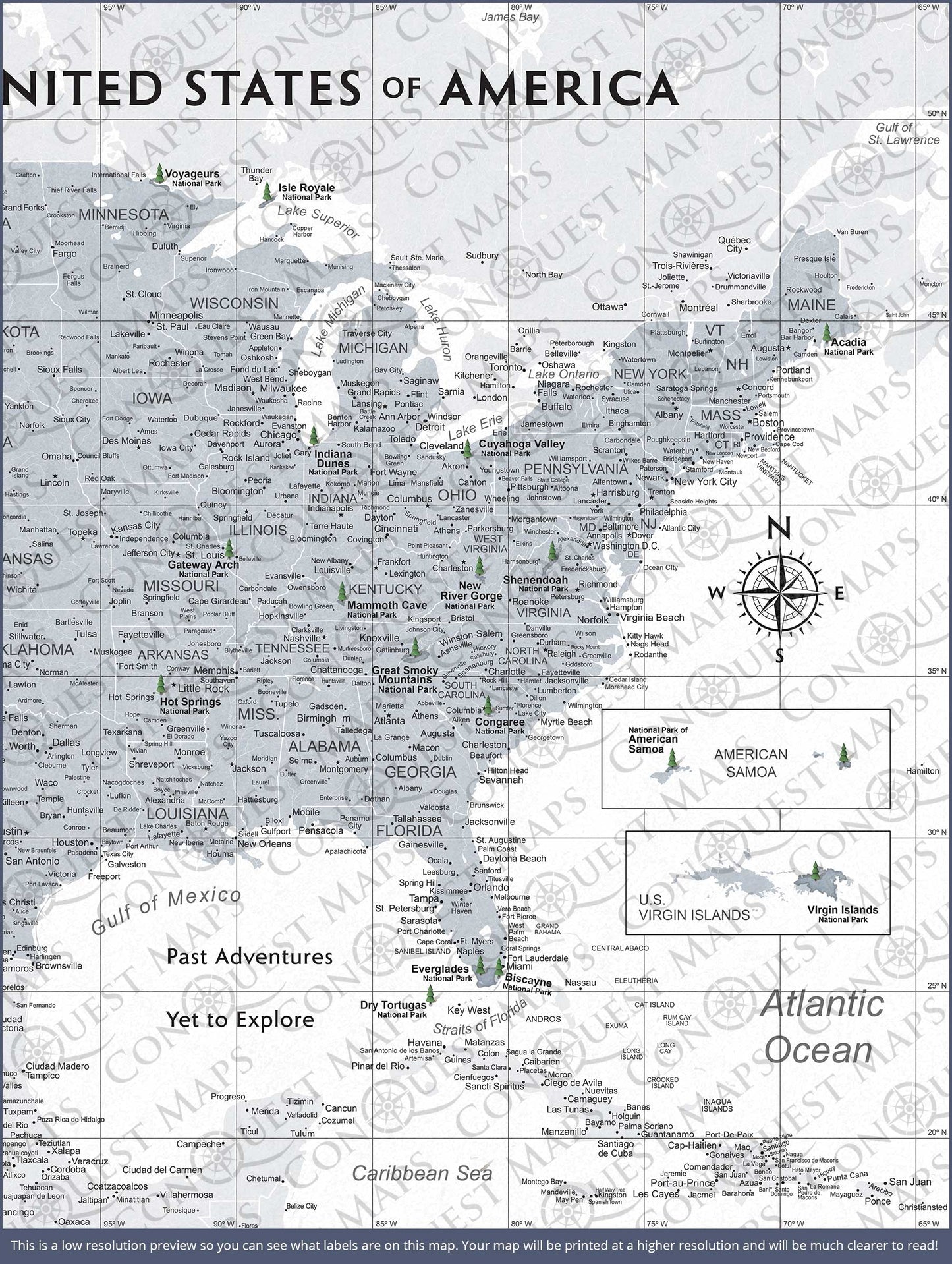 Push Pin National Parks Map: Light Grey (Pins Included)