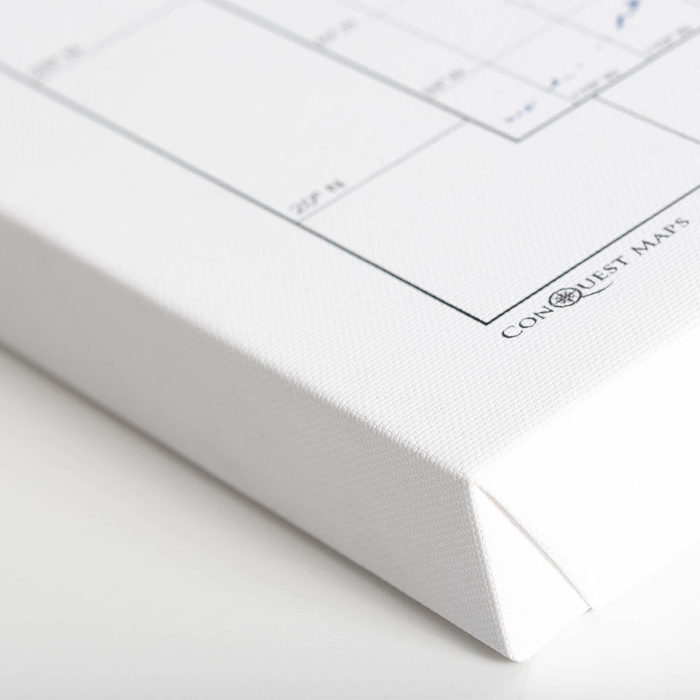 Push Pin National Parks Map: Light Grey (Pins Included)