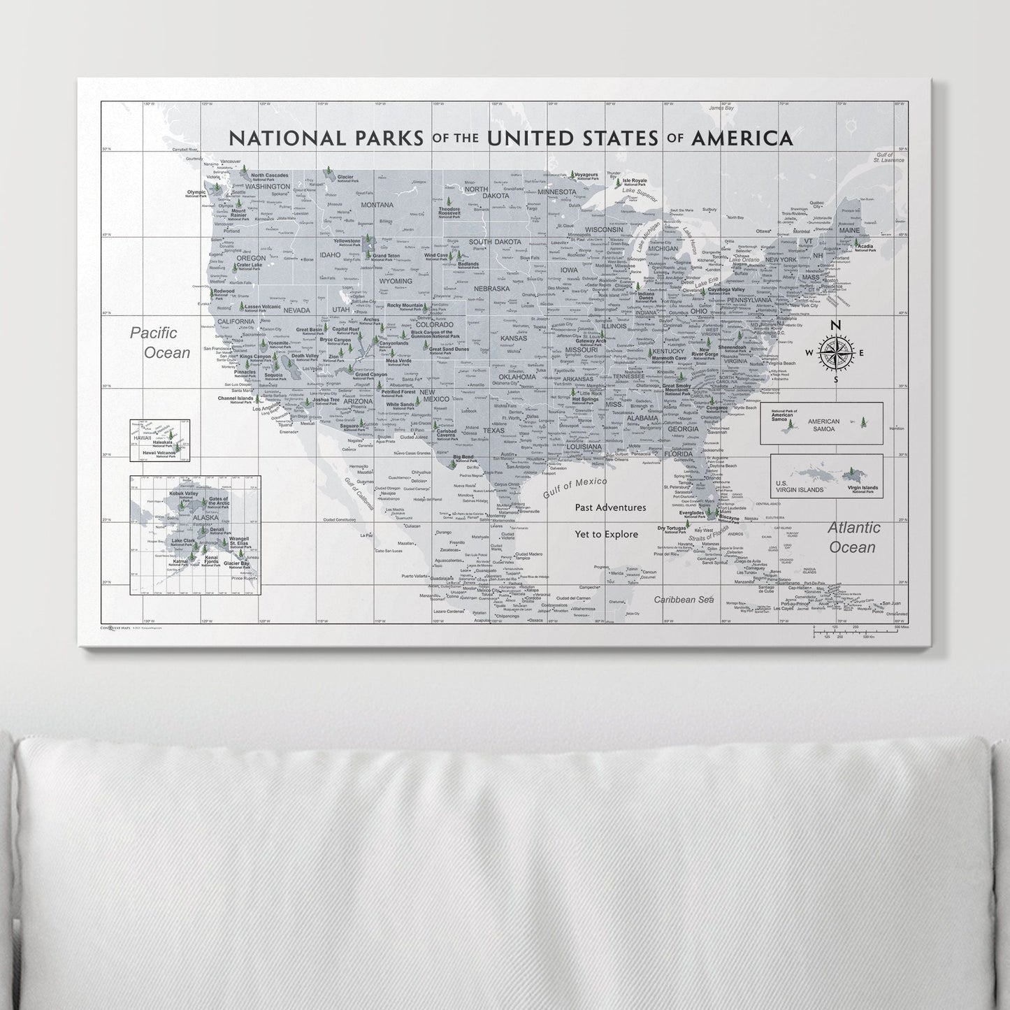 Push Pin National Parks Map: Light Grey (Pins Included)