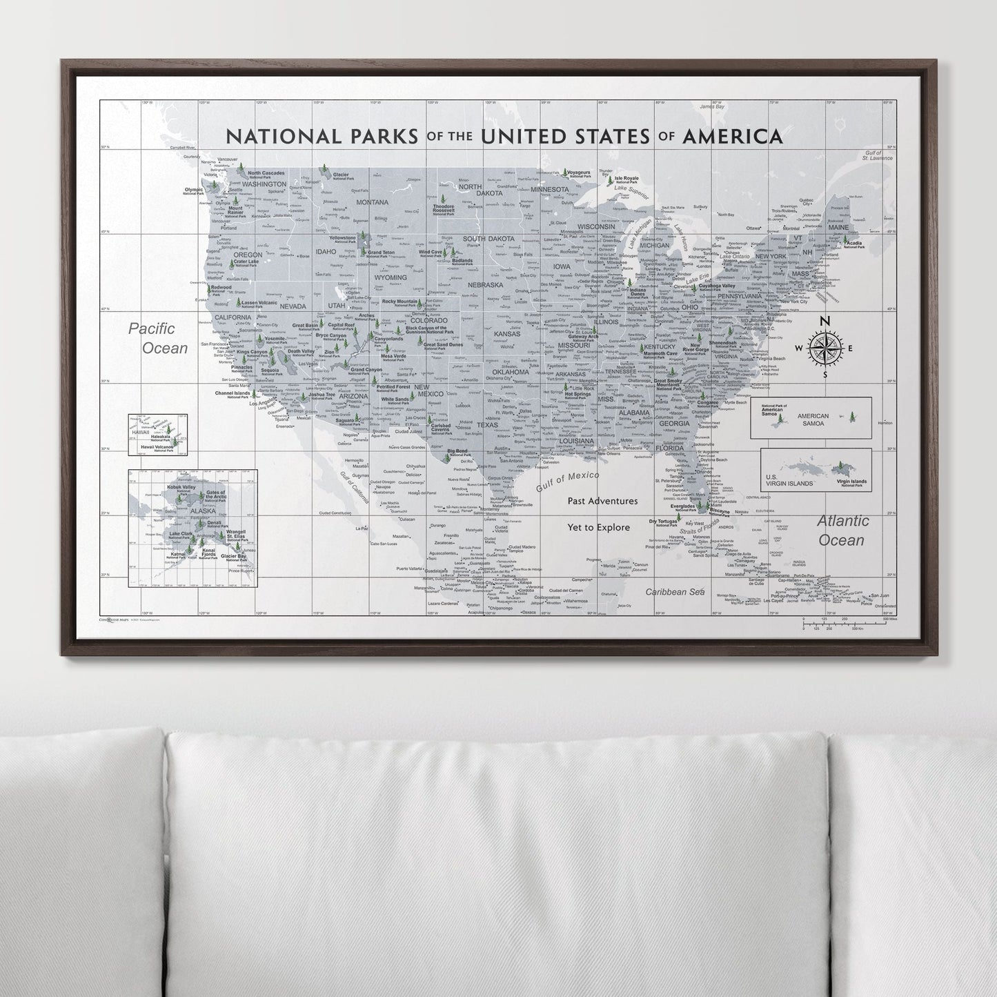 Push Pin National Parks Map: Light Grey (Pins Included)