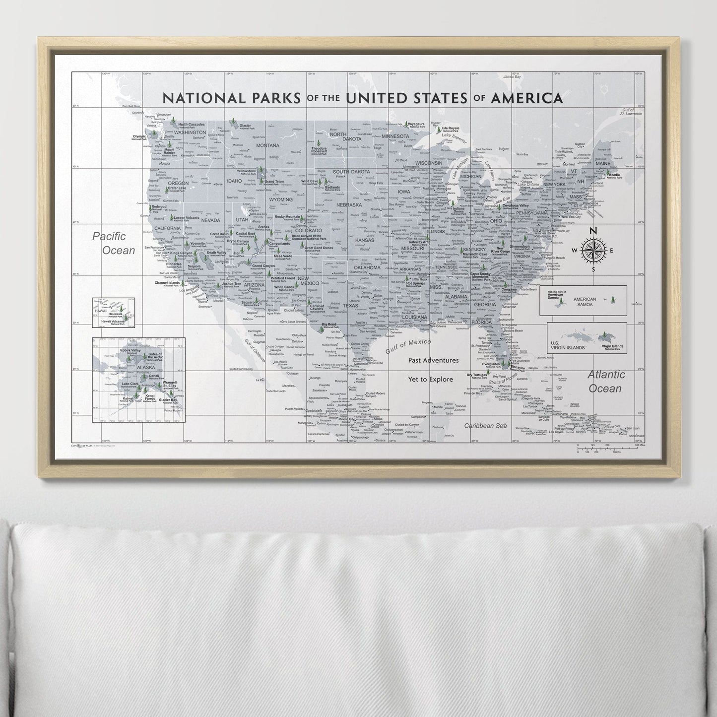 Push Pin National Parks Map: Light Grey (Pins Included)