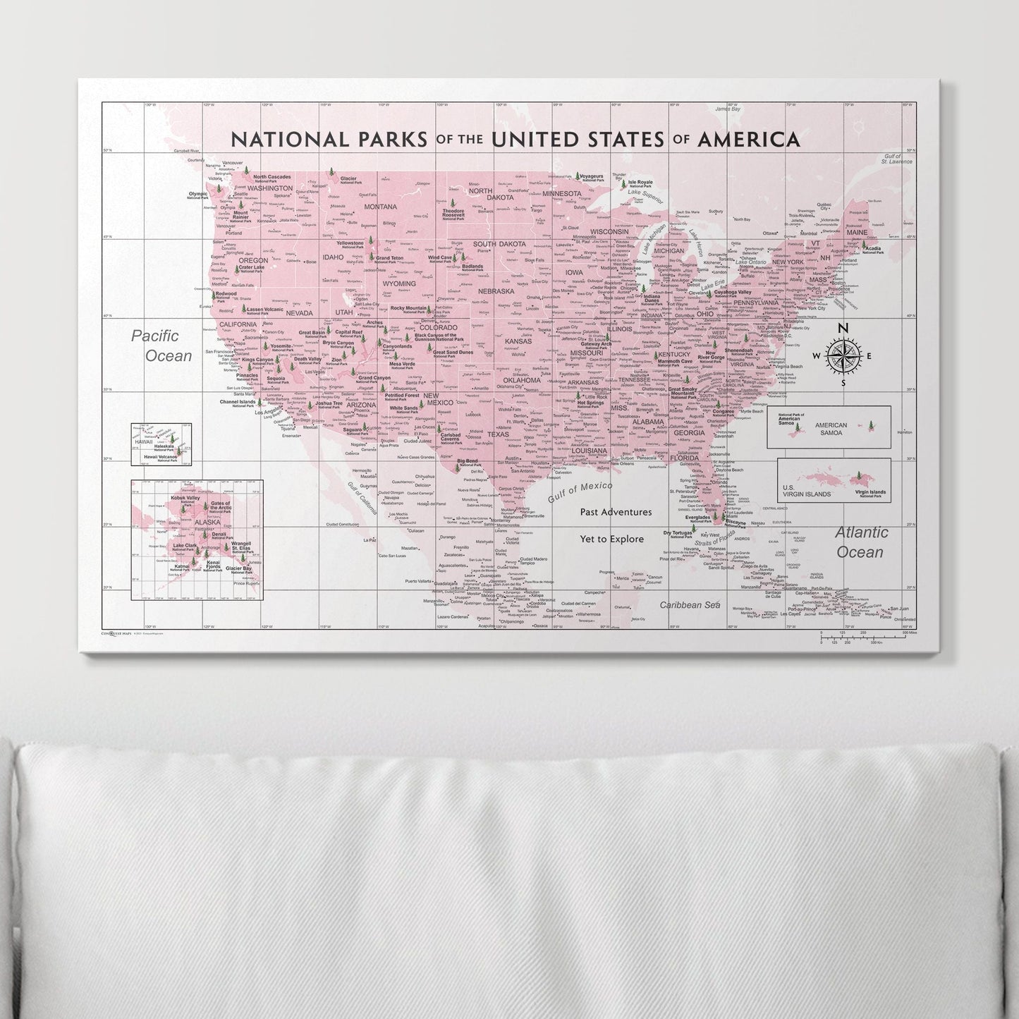 Push Pin National Parks Map: Pink (Pins Included)