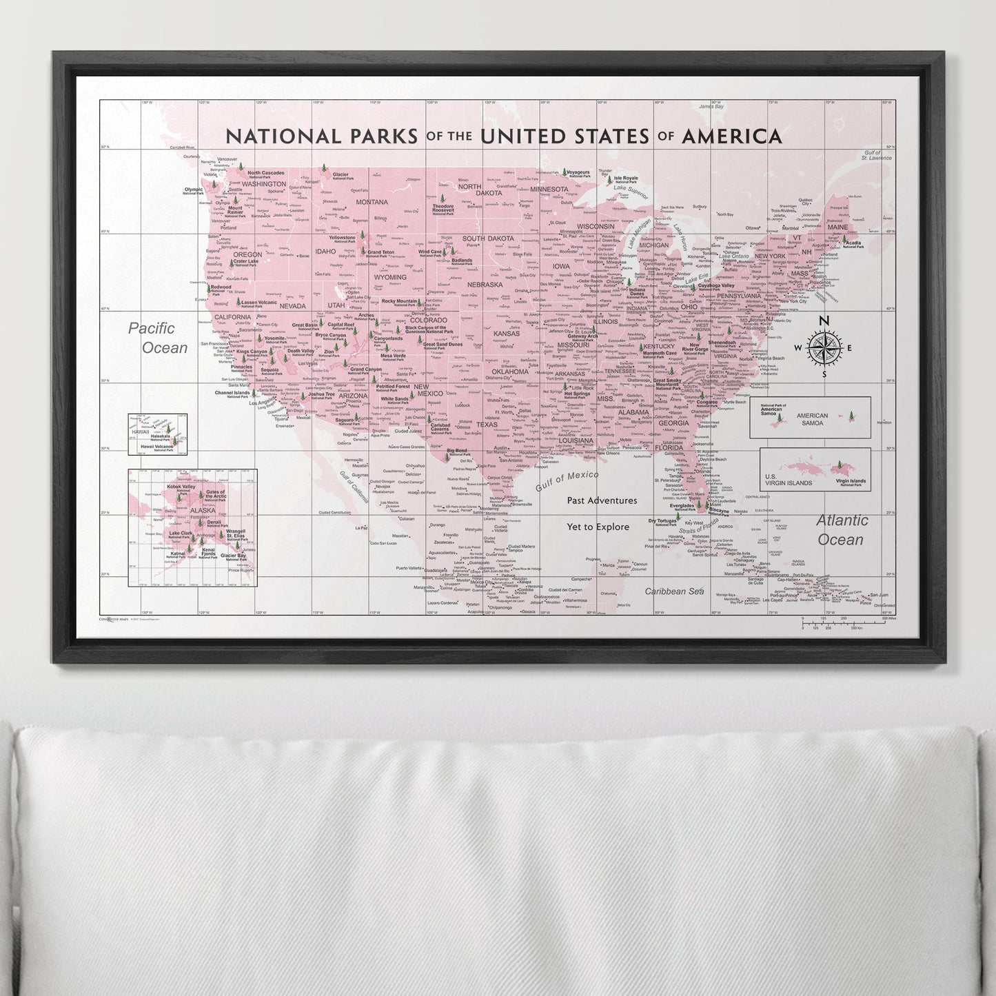 Push Pin National Parks Map: Pink (Pins Included)
