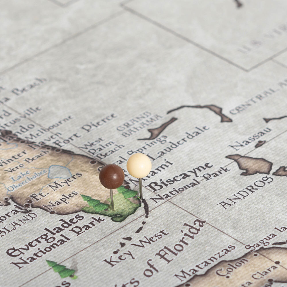 Push Pin National Parks Map: Rustic Vintage (Pins Included)