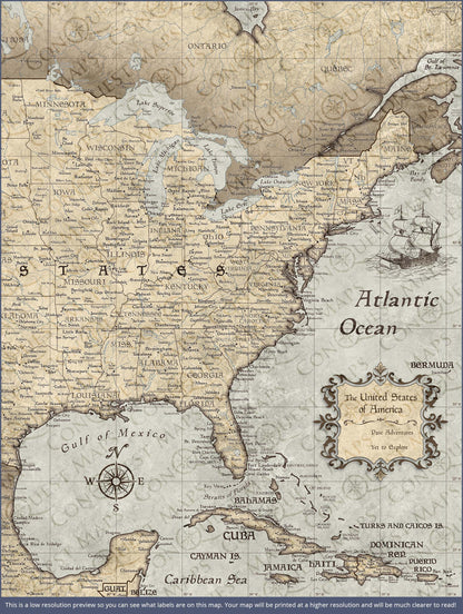 Push Pin USA Map: Rustic Vintage (Pins Included)