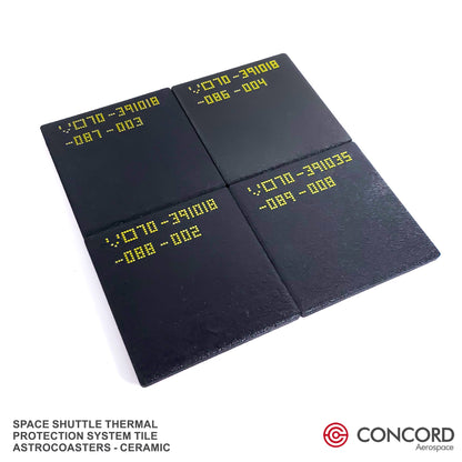 SPACE SHUTTLE THERMAL PROTECTION SYSTEM TILE ASTROCOASTER