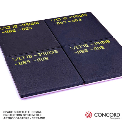 SPACE SHUTTLE THERMAL PROTECTION SYSTEM TILE ASTROCOASTER