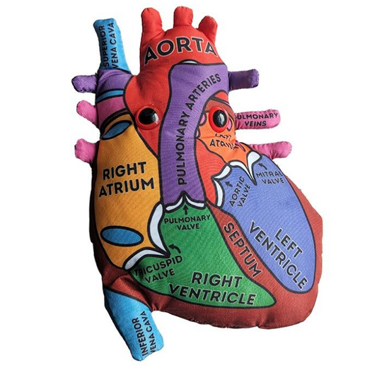 Heart Plush - Stemcell Science Shop