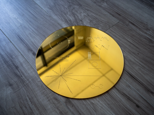 Voyager Golden Record Replica Wall Art