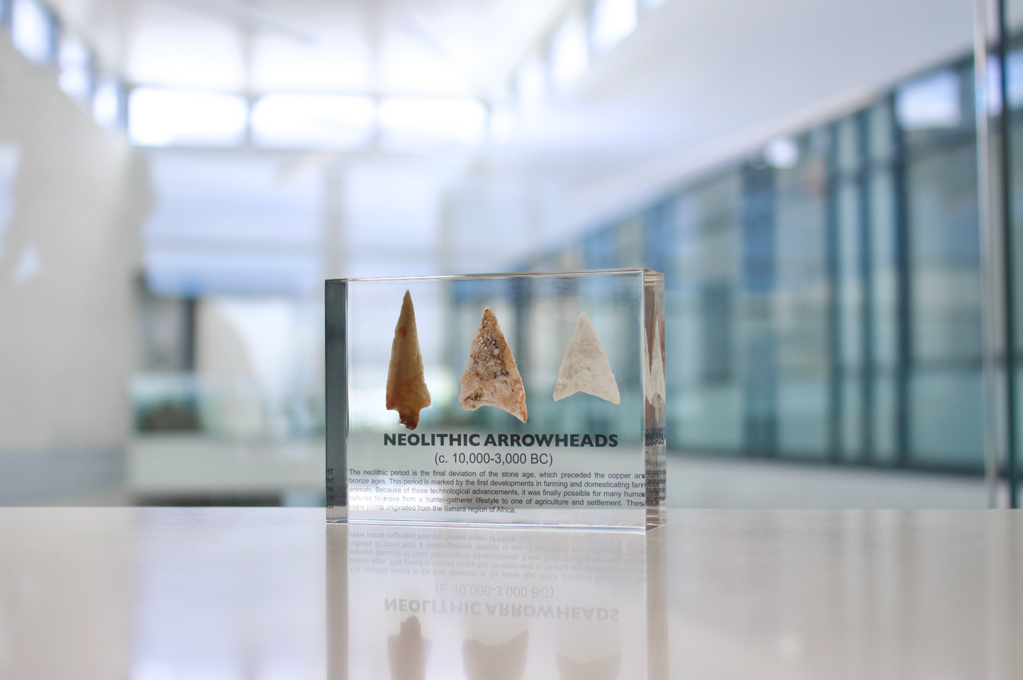 Neolithic Arrowheads