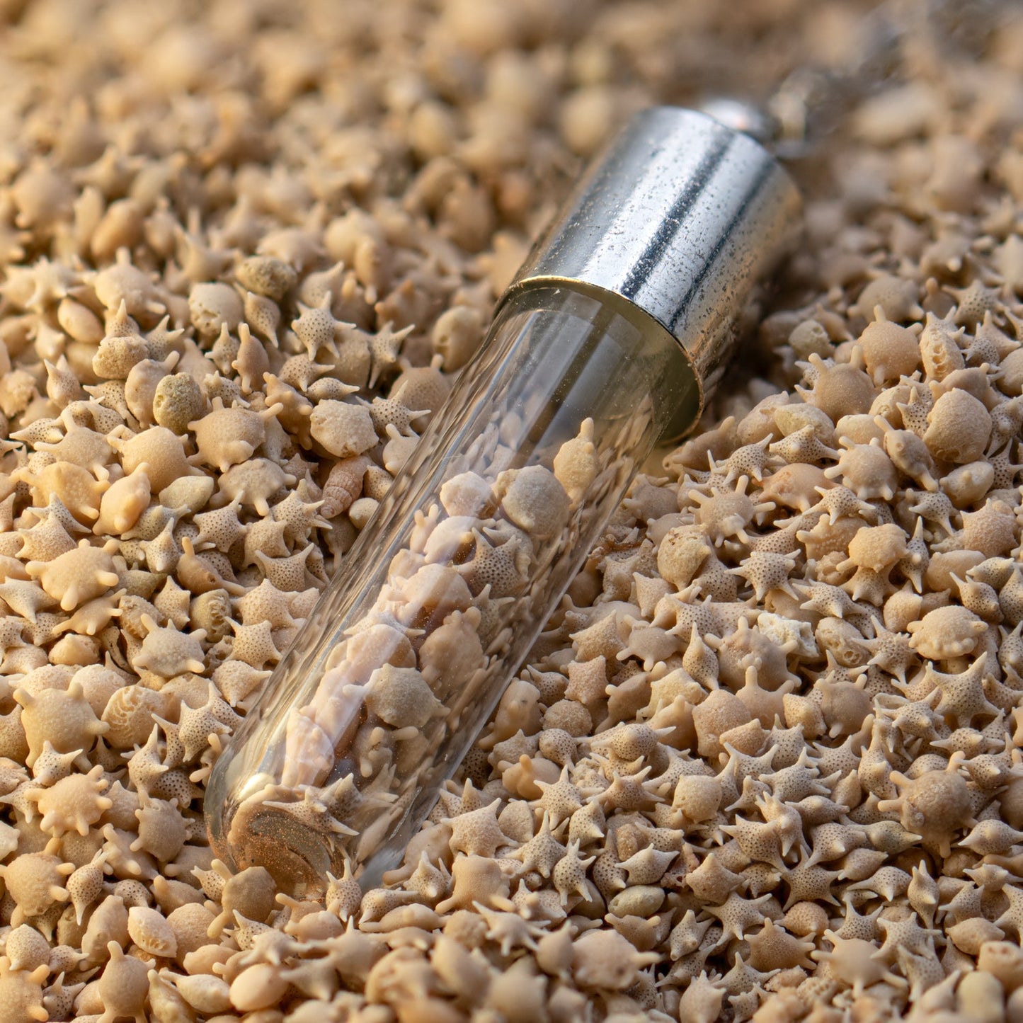 Japanese Star Sand Vial Necklace