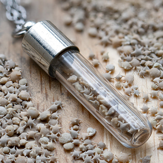 Japanese Star Sand Vial Necklace