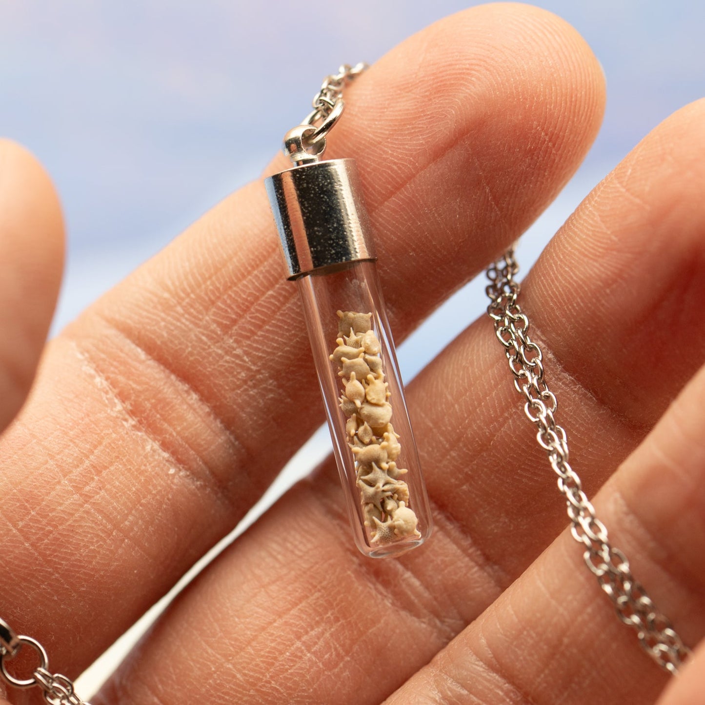 Japanese Star Sand Vial Necklace