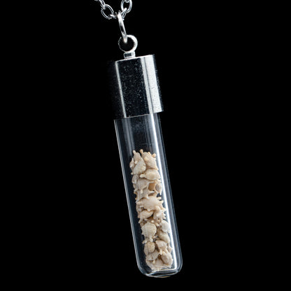 Japanese Star Sand Vial Necklace