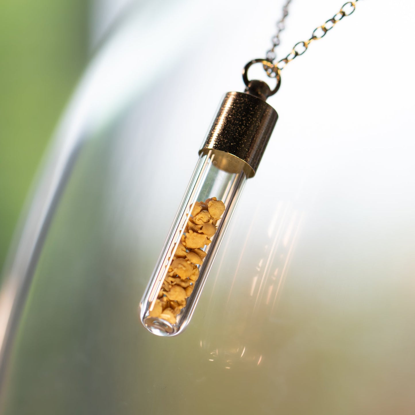 Japanese Star Sand Vial Necklace