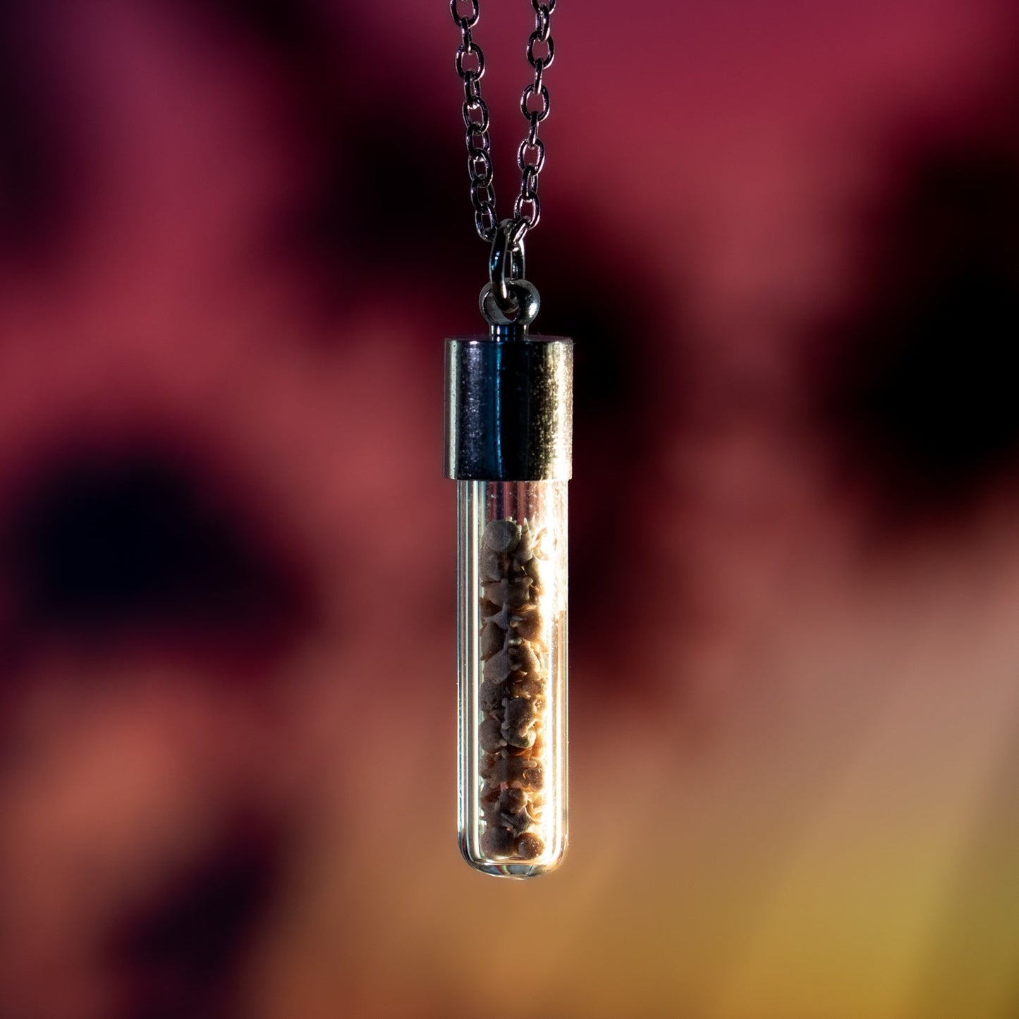 Japanese Star Sand Vial Necklace