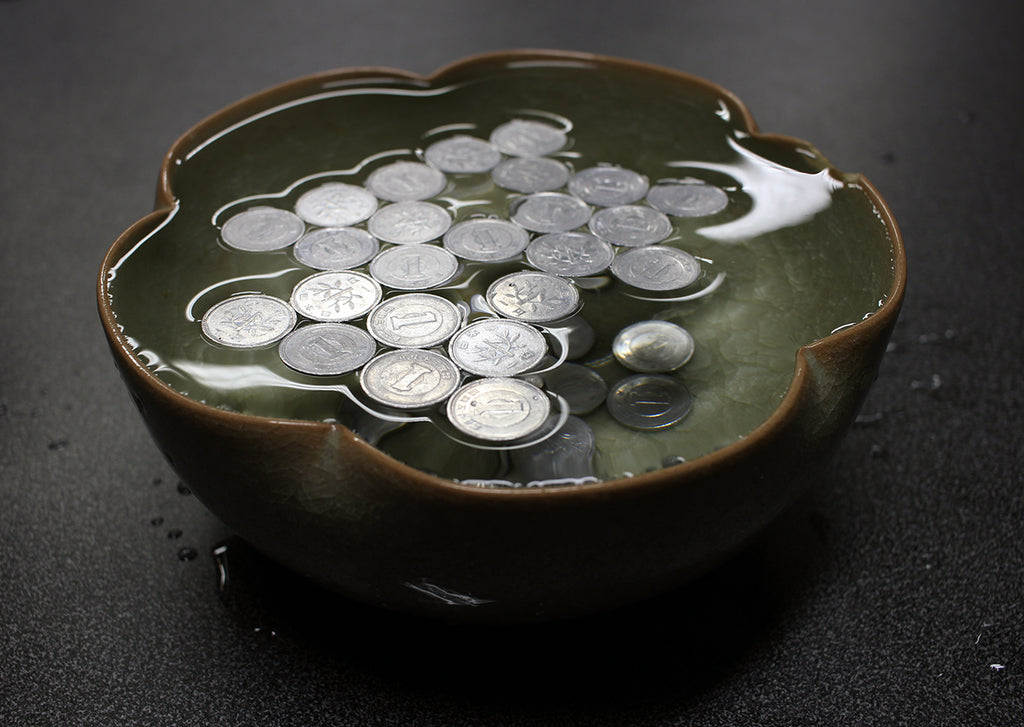 Floating Coins - 3/pk, Default Title at Stemcell Science Shop