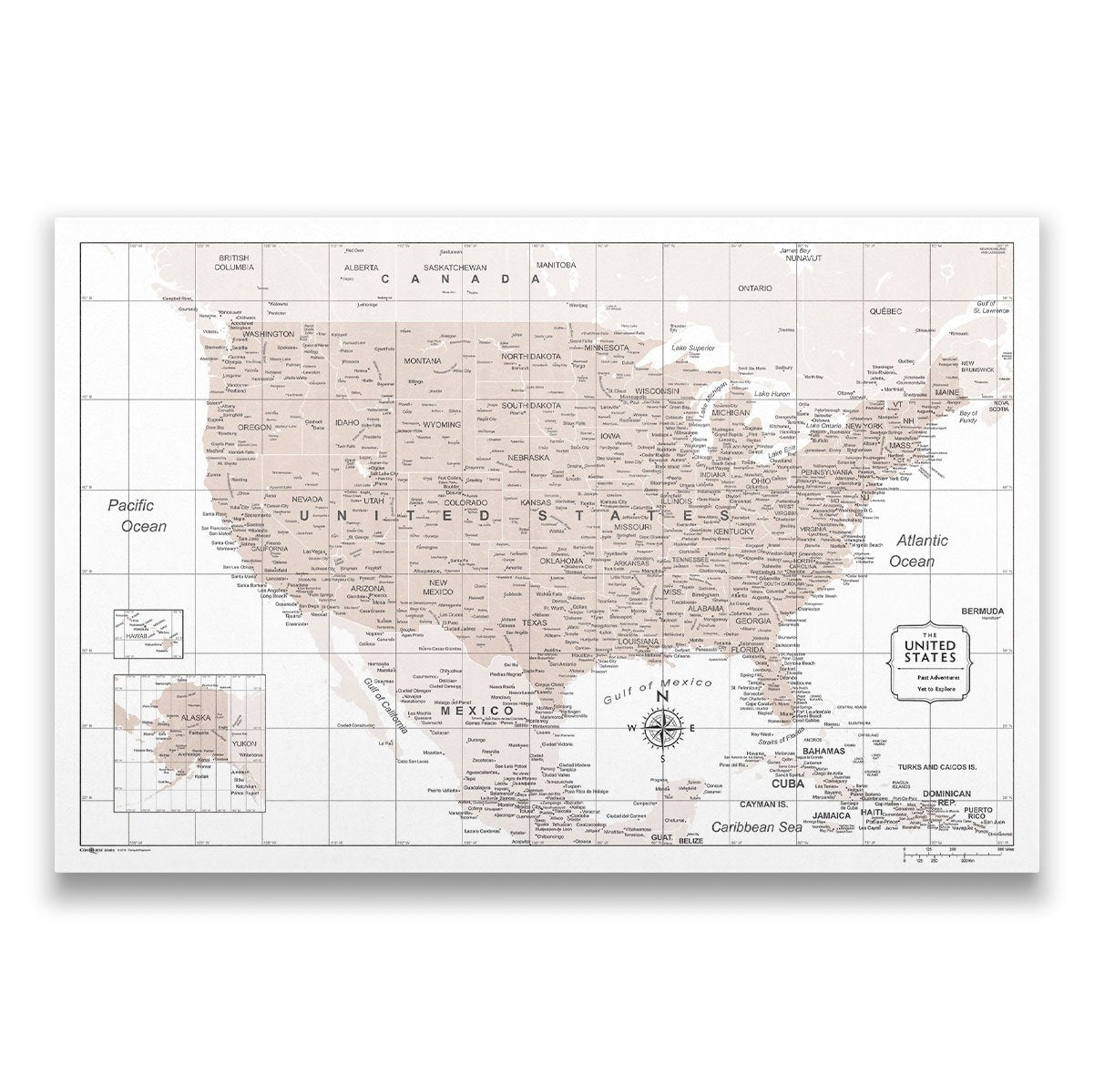 Push Pin USA Map: Light Brown (Pins Included)