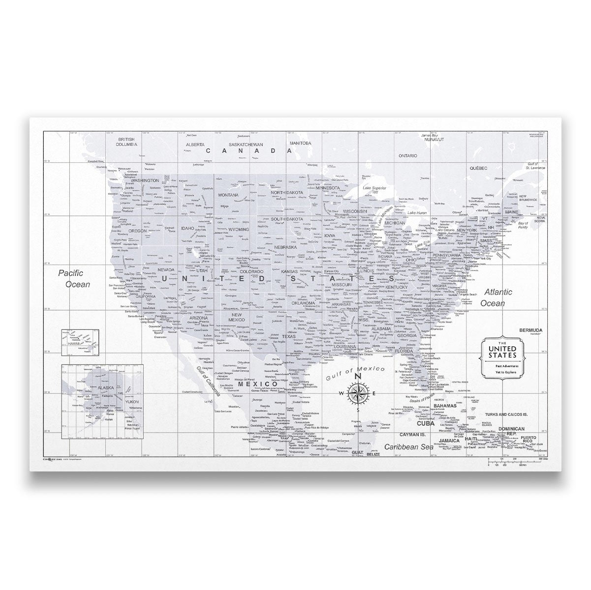 Push Pin USA Map: Light Grey (Pins Included)