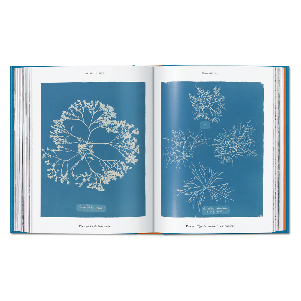 Anna Atkins. Cyanotypes. 45th Ed. (German, French, English)