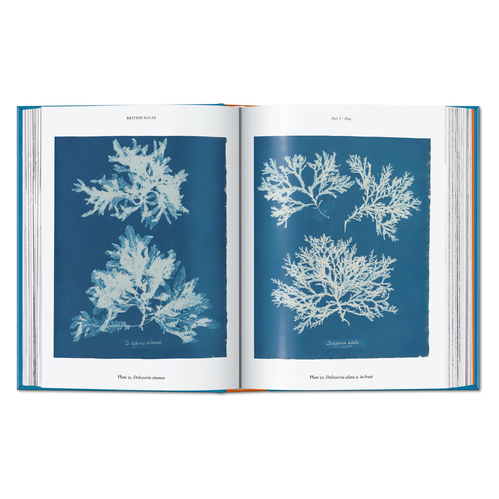 Anna Atkins. Cyanotypes. 45th Ed. (German, French, English)