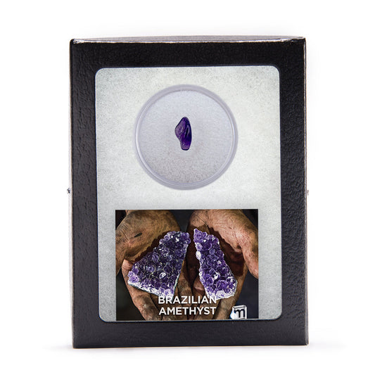 Amethyst Classic Riker Box Specimen - Brazilian