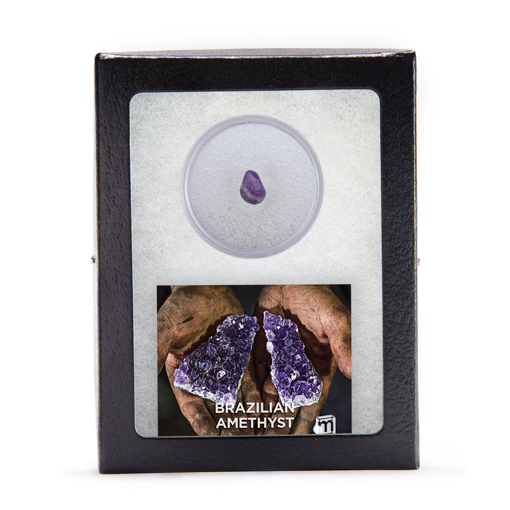Amethyst Classic Riker Box Specimen - Brazilian