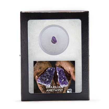 Amethyst Classic Riker Box Specimen - Brazilian