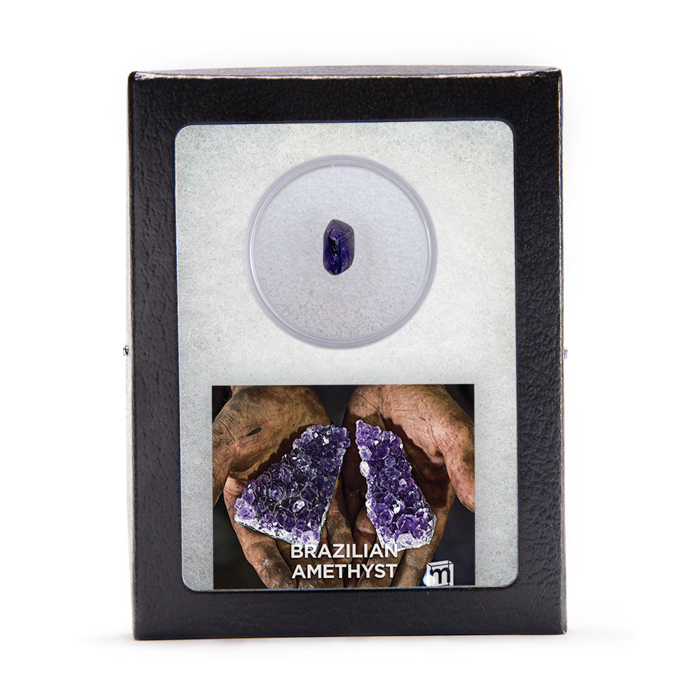 Amethyst Classic Riker Box Specimen - Brazilian