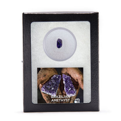 Amethyst Classic Riker Box Specimen - Brazilian