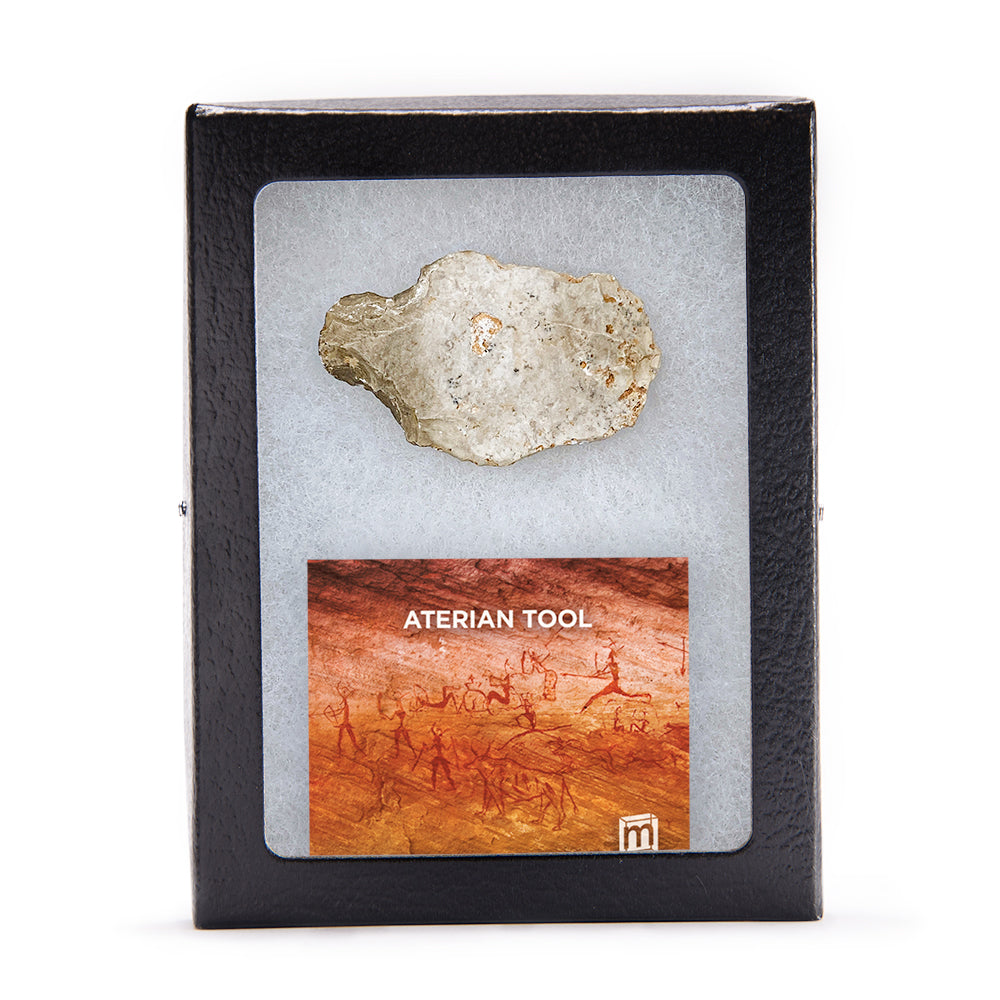 Aterian Tools