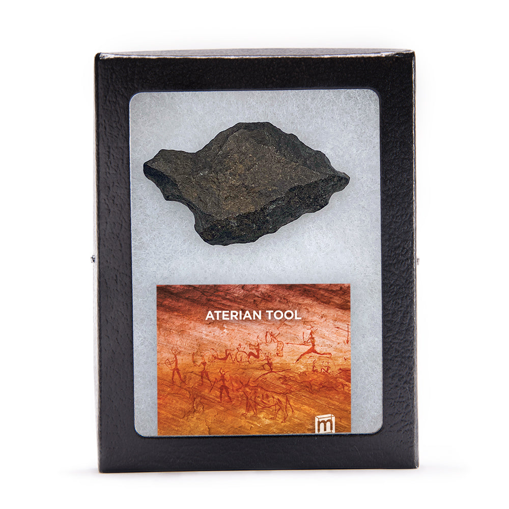 Aterian Tools