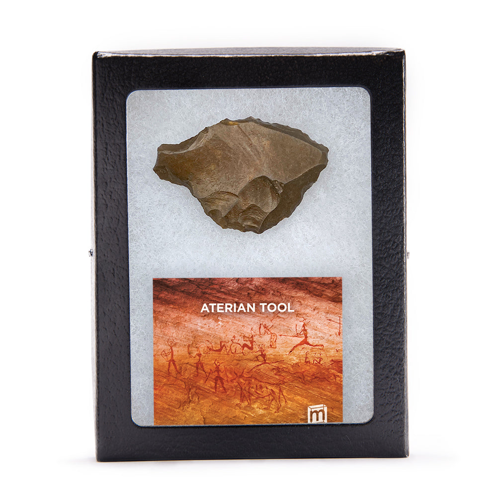 Aterian Tools