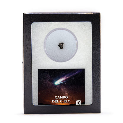 Campo del Cielo Meteorite - Riker Glass Display Case