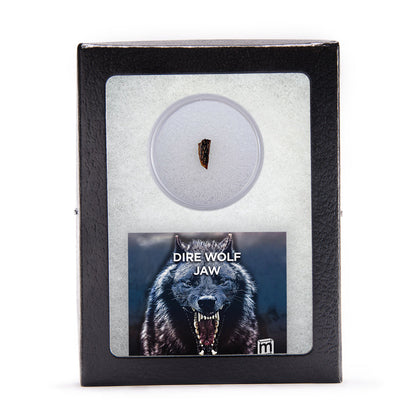 Dire Wolf Jaw Classic Riker Box