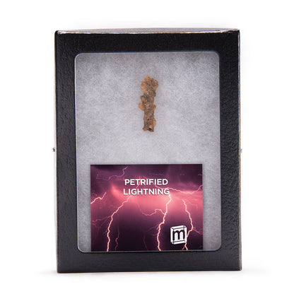 Petrified Lightning - Saharan Fulgurite Riker Box Specimen