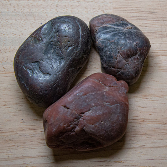 Dinosaur Gastrolith - Gut Stone