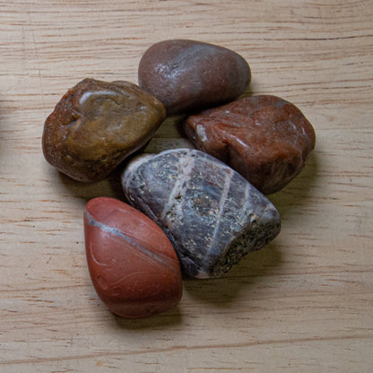 Dinosaur Gastrolith - Gut Stone