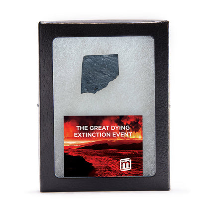 The Great Dying Extinction Event - Siberian Traps Slab