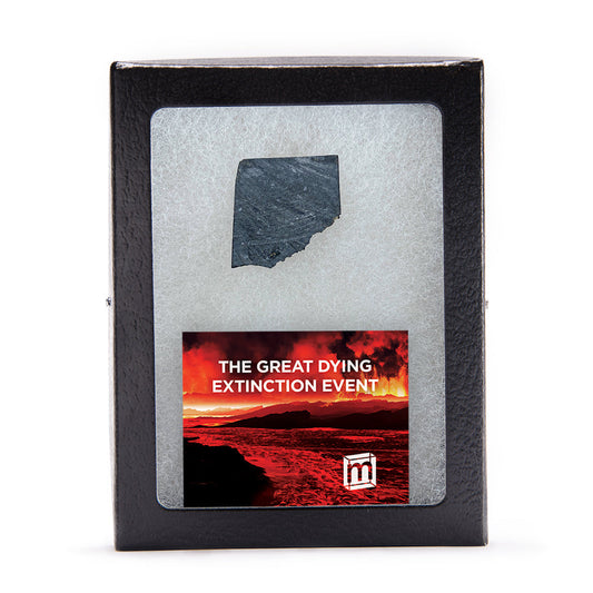 The Great Dying Extinction Event - Siberian Traps Slab