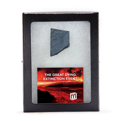 The Great Dying Extinction Event - Siberian Traps Slab